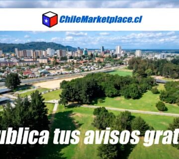 avisos temuco