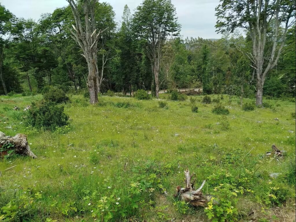 parcelas en venta en el sur de chile marketplace chileno chilemarketplace.cl/marketplace