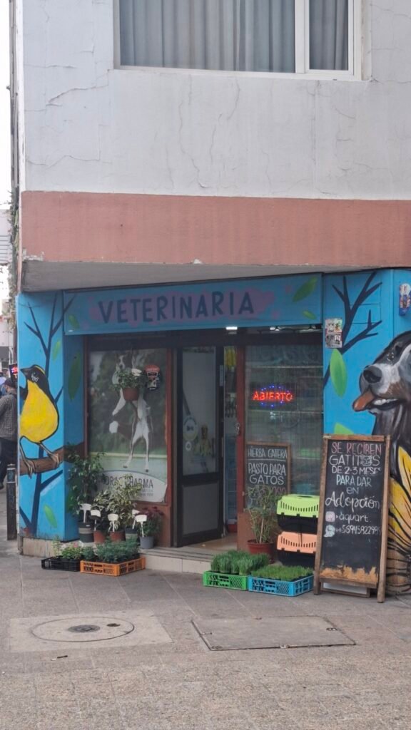 Veterinaria en Santiago Centro publicada en marketplace chile.