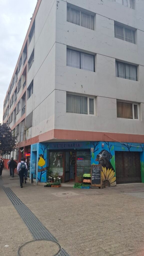 Veterinaria en Santiago Centro publicada en marketplace santiago.