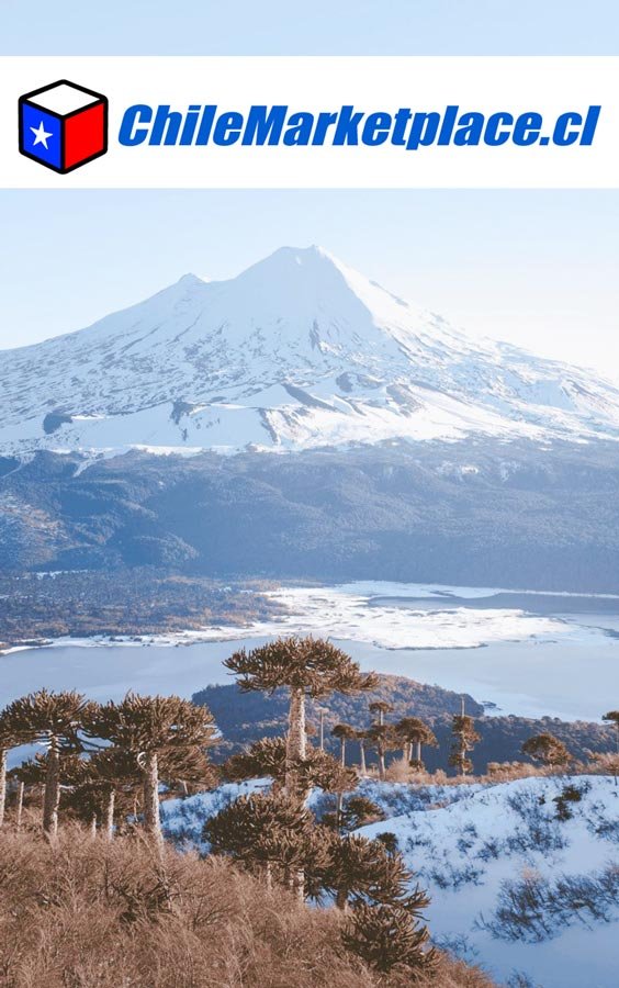 marketplace-temuco