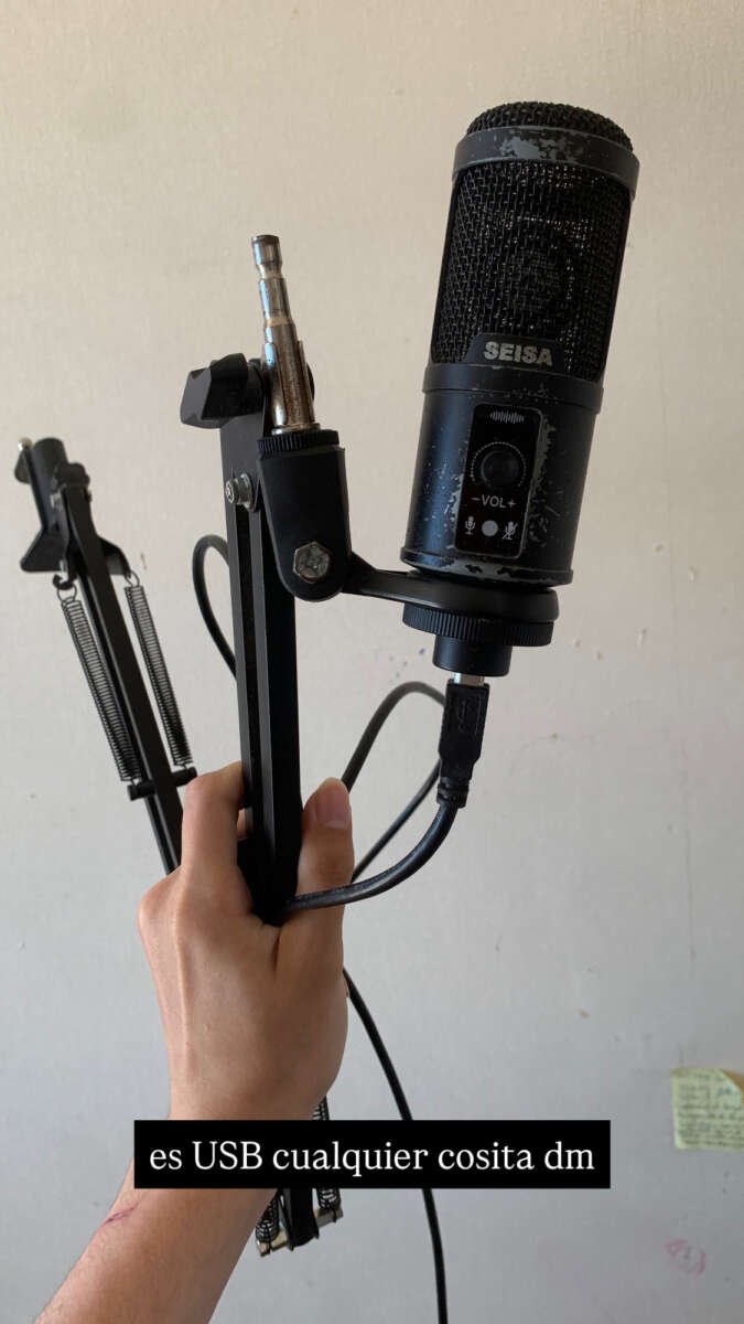 Microfono profesional SEISA