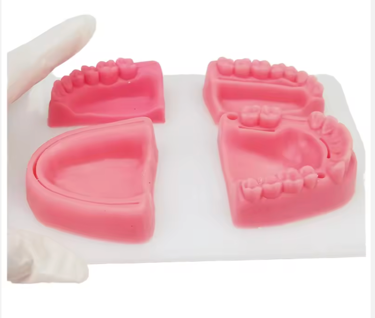 Modelo de práctica de sutura quirúrgica dental Material: silicona