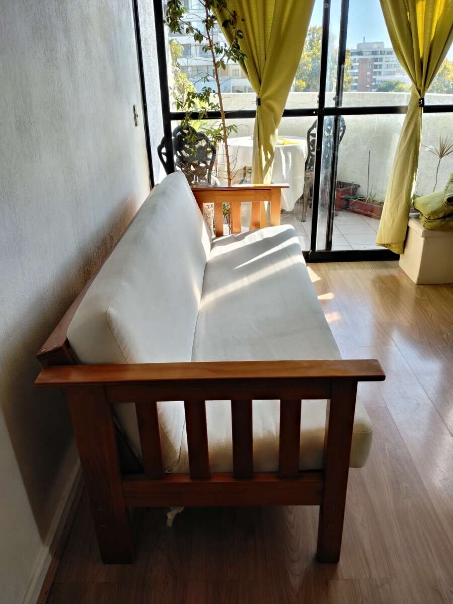 por cambio ciudad Vendo SILLON CAMA PINO OREGON