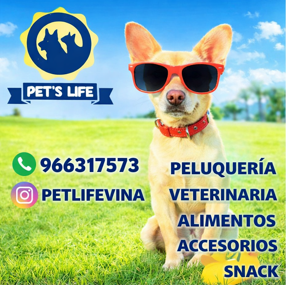 Alimento para Mascotas Viña del Mar