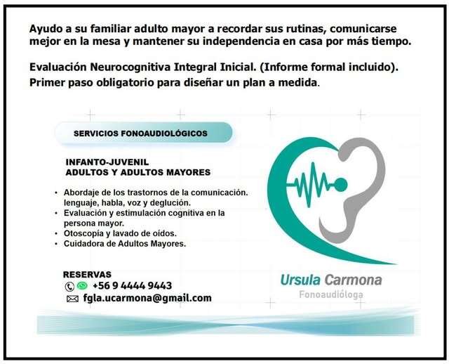 Servicios Fonoaudiológicos a Domicilio